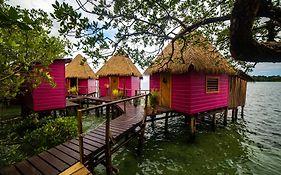 Urraca Monkey Island Eco Resort (Adults Only)